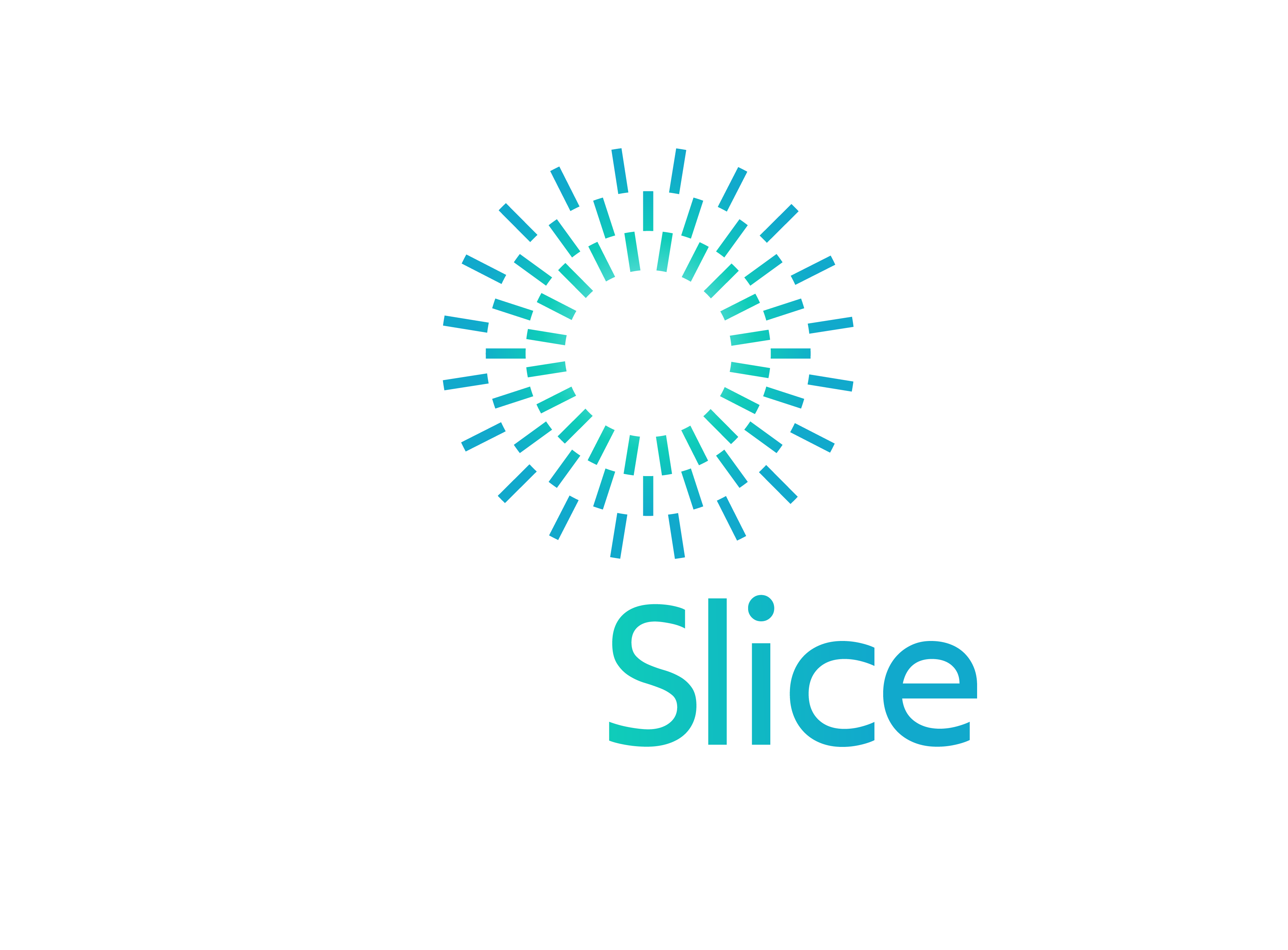 VETSLICE